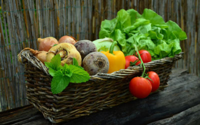 Alimentación y nutrición basada en vegetales